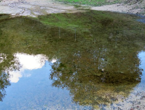 Mueller Lake reflections